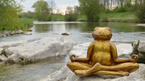 Relaxed frog sitting in meditation